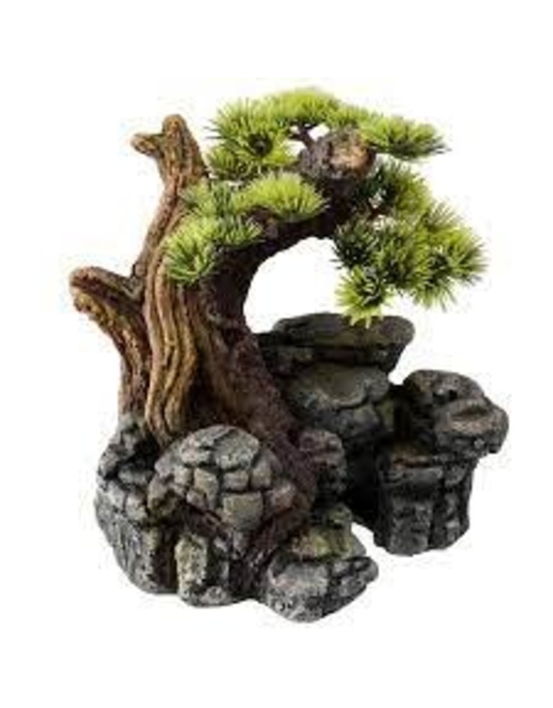 Aqua Della Bonsai On Rock Rick S Pet Stores Inc Aqua Della Bonsai On Rock Rick S Pet Stores Inc