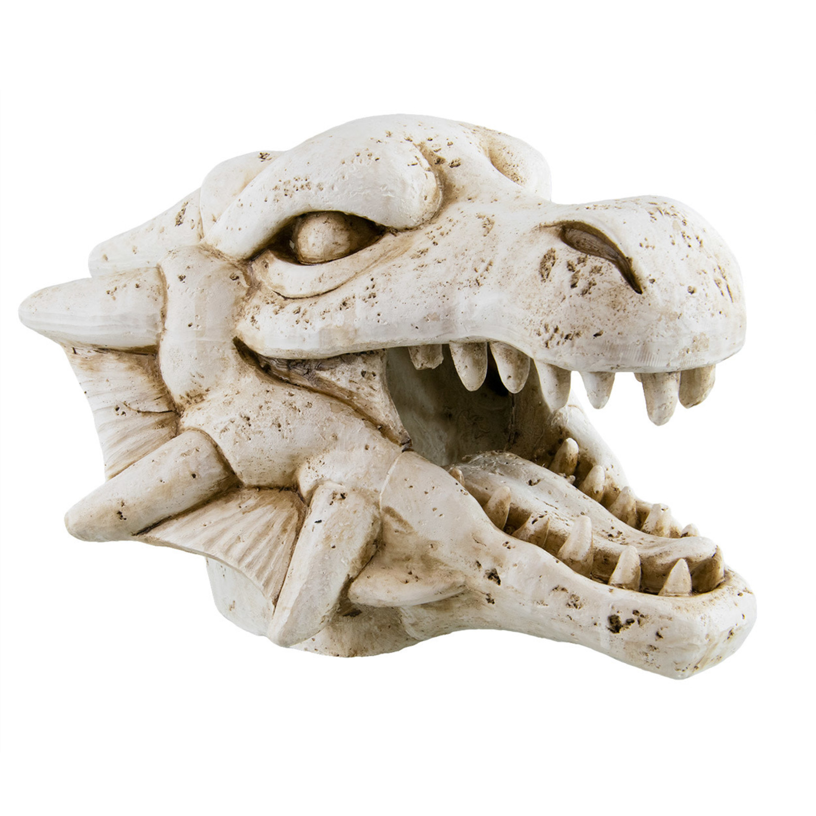 UNDERWATER TREASURES UT Dragon Skull