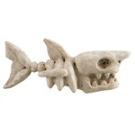 UNDERWATER TREASURES UT Shark Bones