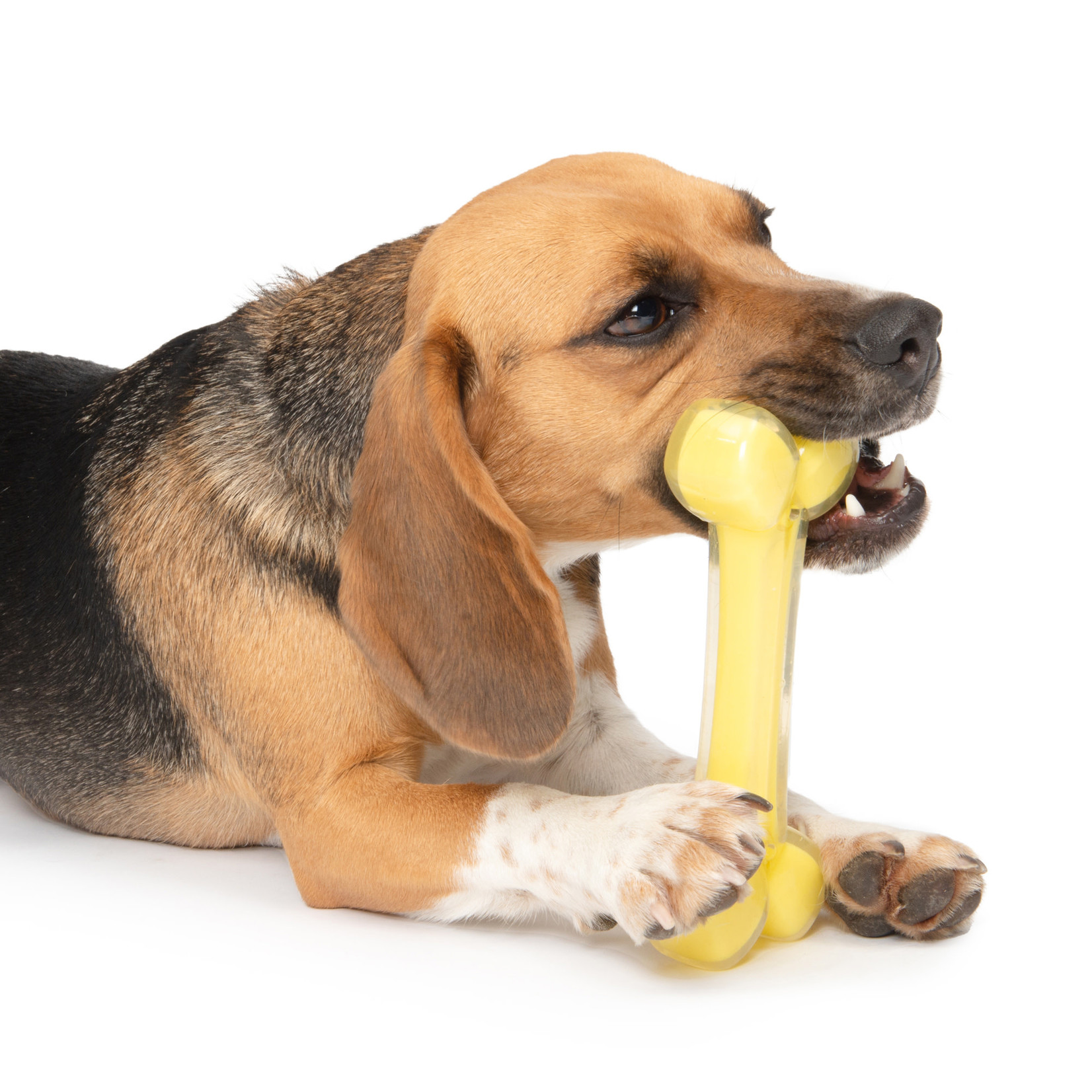 ZEUS Zeus Duo Bone - Coconut Scent - Yellow - 18 cm (7 in)