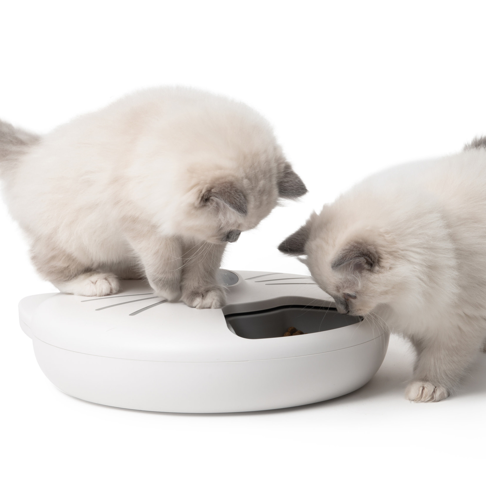 CAT IT Catit Pixi Smart 6-Meal Feeder