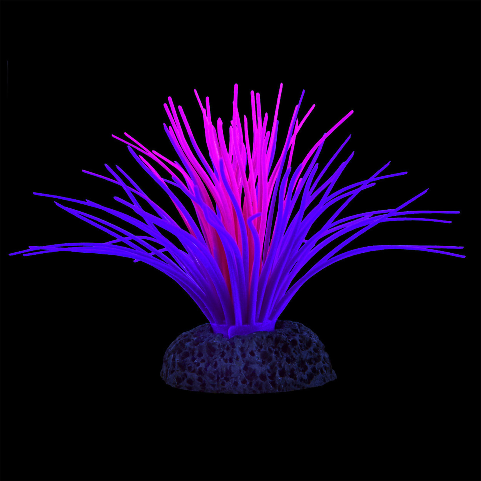 UNDERWATER TREASURES UT Glow in the Dark Sea Anemone - Pink/Purple