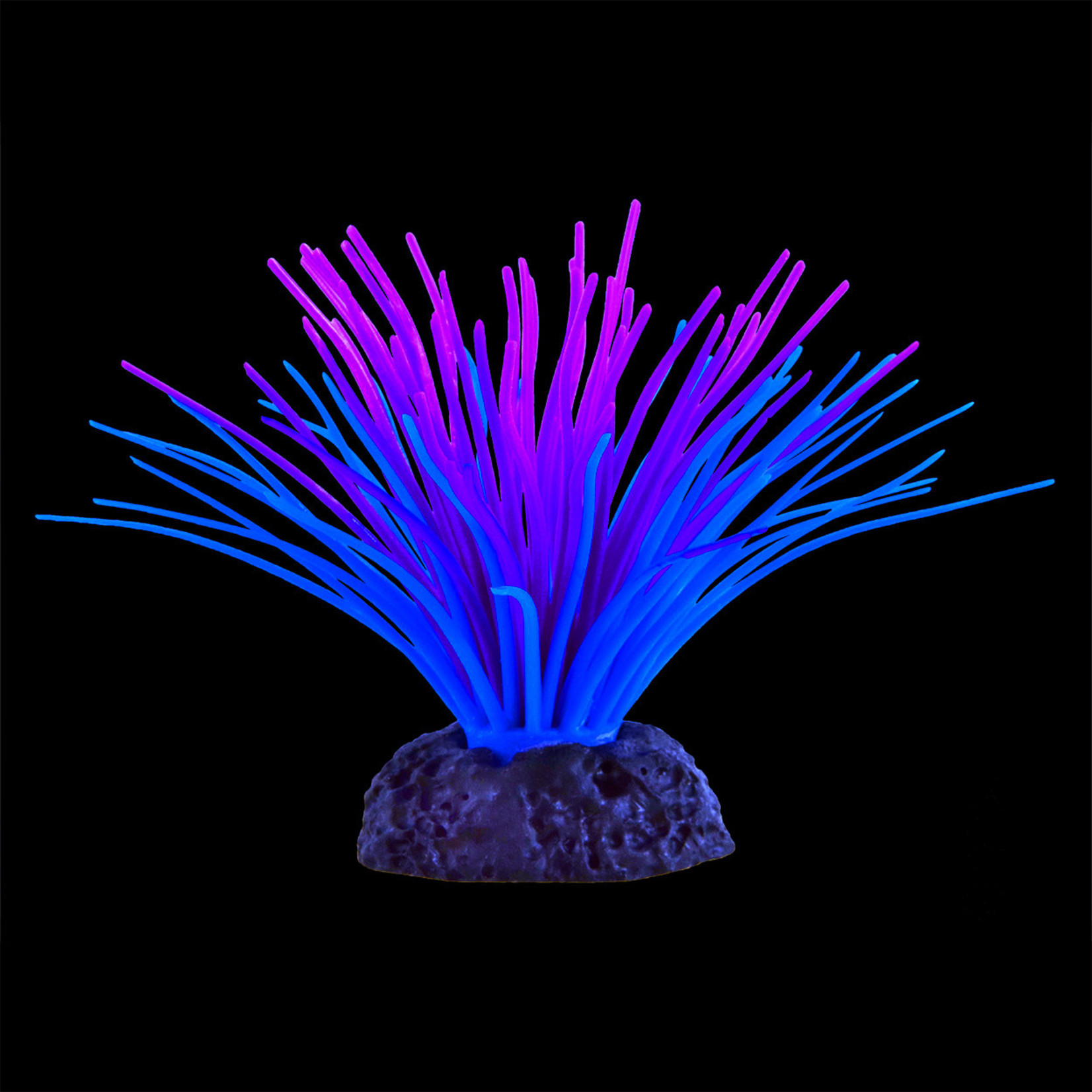 UNDERWATER TREASURES UT Glow in the Dark Sea Anemone - Purple/Blue