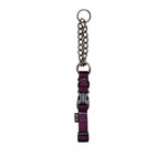 ZEUS Zeus Martingale Dog Collar - Royal Purple - Medium - 1.5 cm x 38 cm-45 cm (1/2in x 15in-18in)