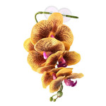 PANGEA PANGEA HANGING ORCHIDS - YELLOW