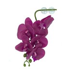 PANGEA PANGEA HANGING ORCHIDS - PURPLE