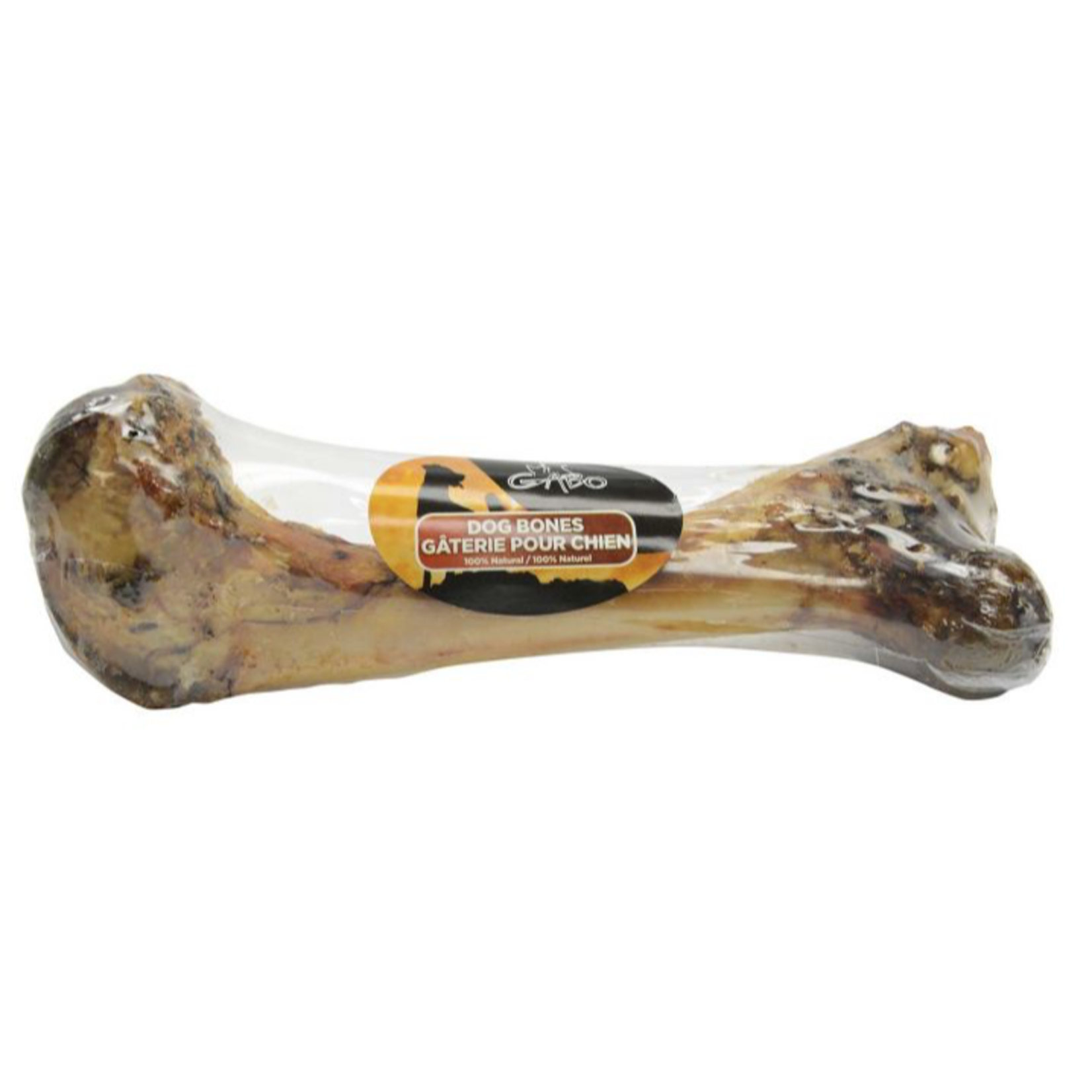 GABO Gabo Dino Bone Dog 15-18in