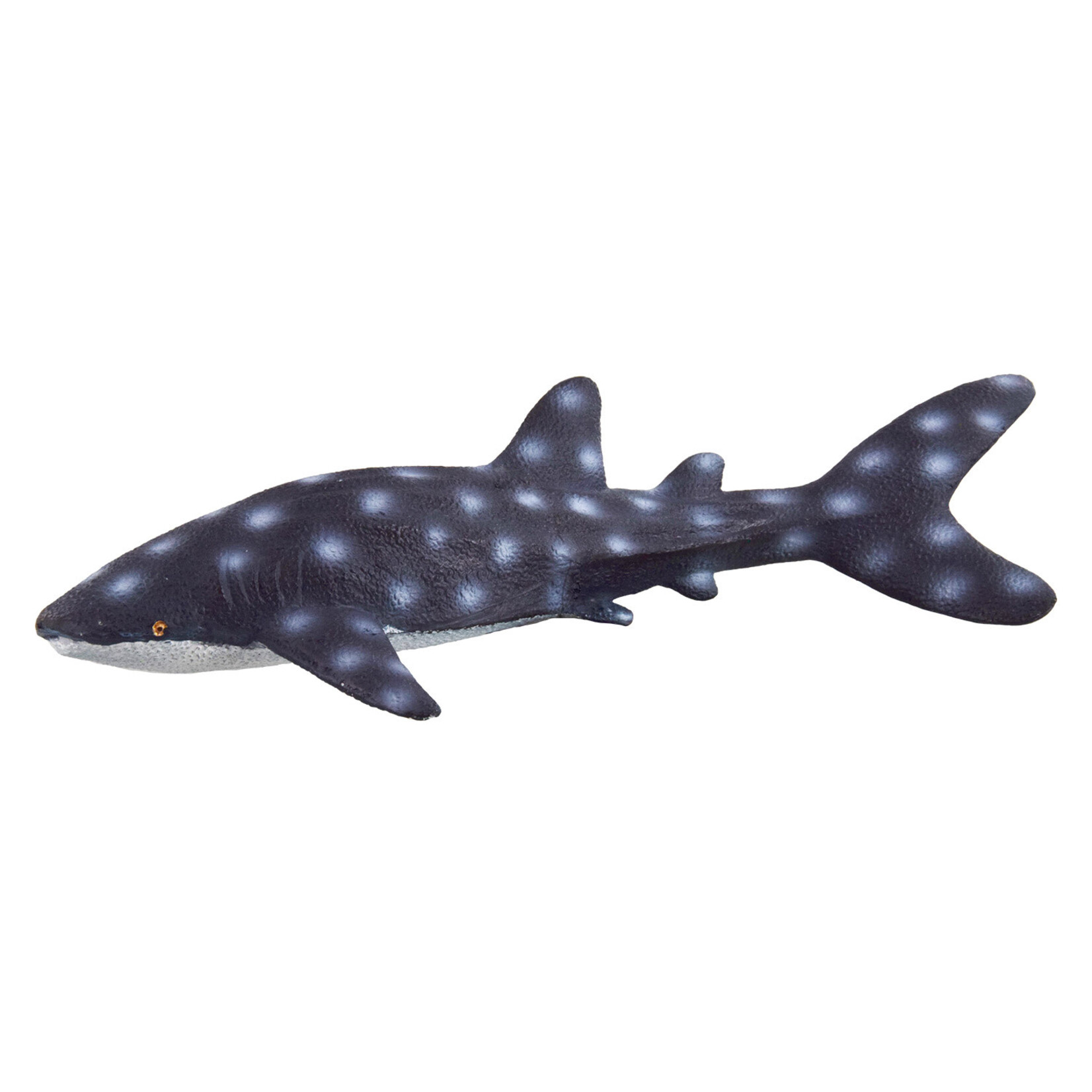 UNDERWATER TREASURES Underwater Treasures Blue Shark
