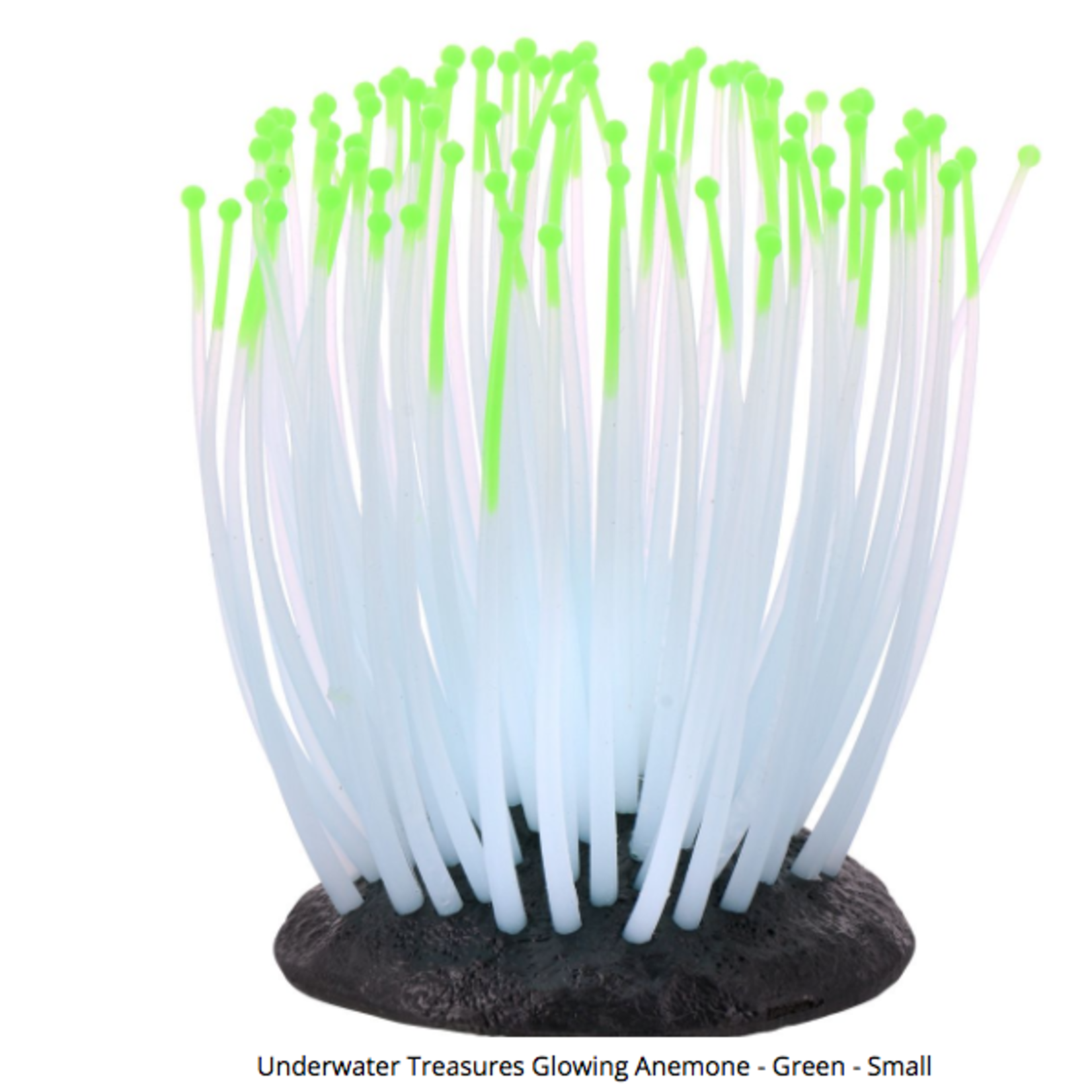 UNDERWATER TREASURES Underwater Treasures Glowing Anemone - Green - Small