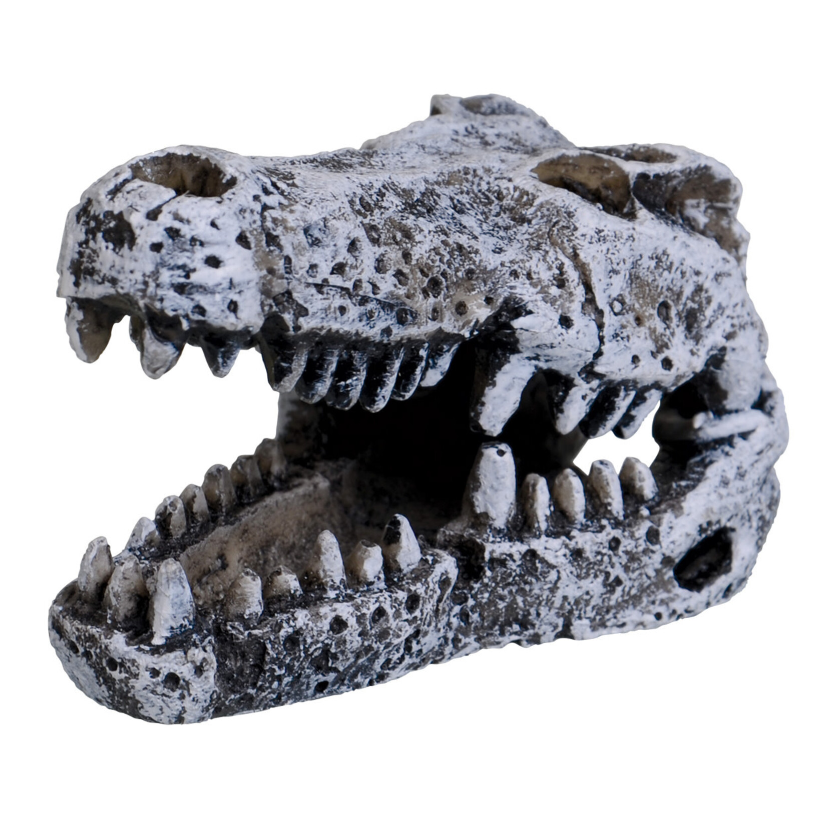 UNDERWATER TREASURES Underwater Treasures Crocodile Skull - Mini