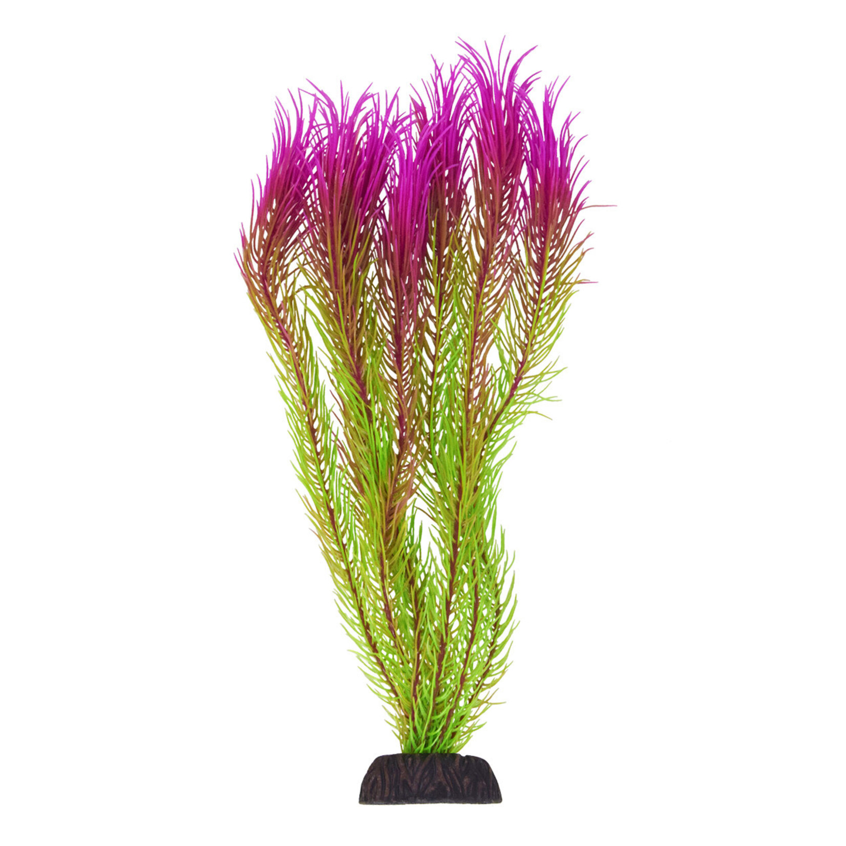 UNDERWATER TREASURES UT Mayaca - Pink Tip