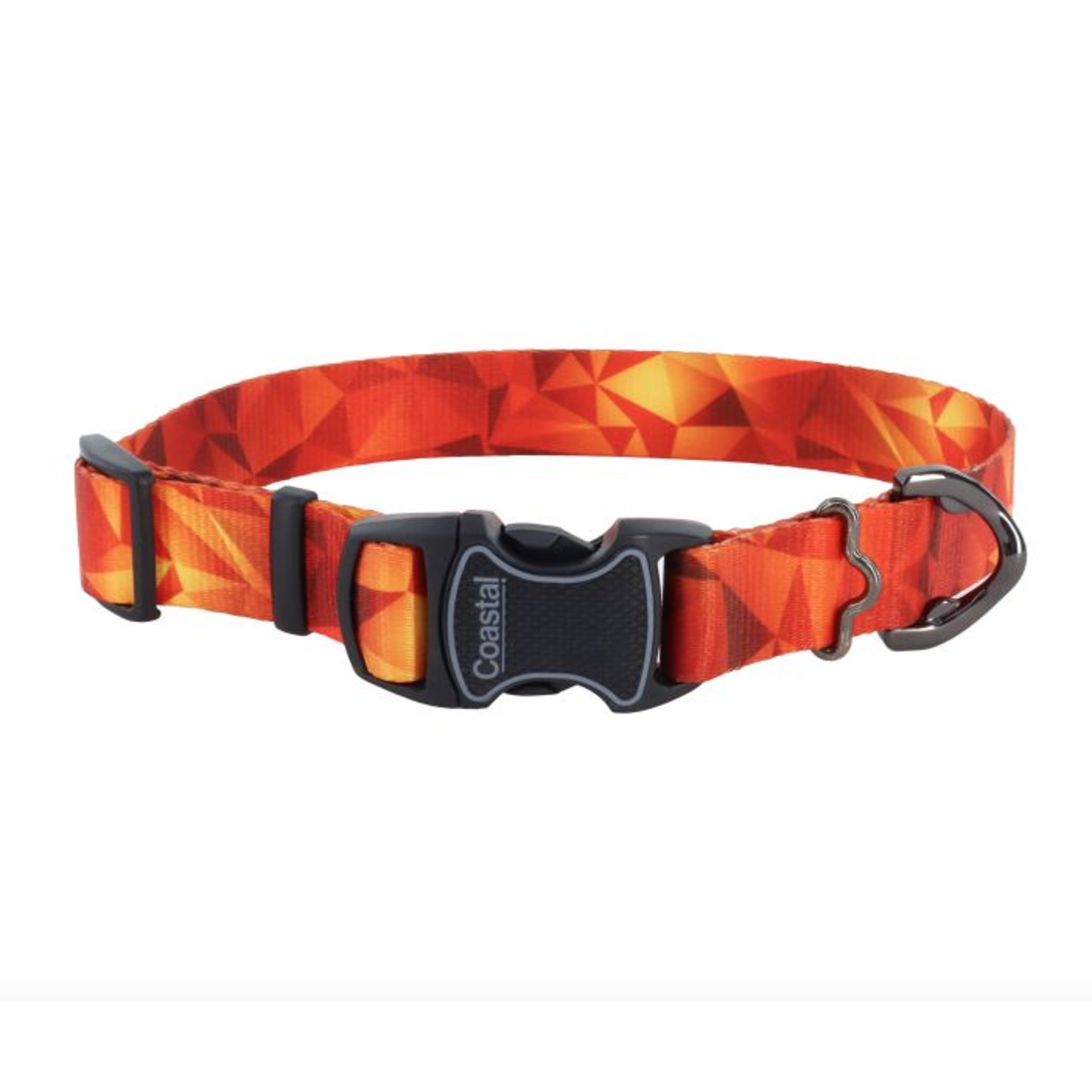 COASTAL Inspire Adjustable Fashion Dog Collar, Blazing Shards, Small - 5/8" x 10-14"