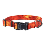 COASTAL Inspire Adjustable Fashion Dog Collar, Blazing Shards, Large - 1" x 18"-26"
