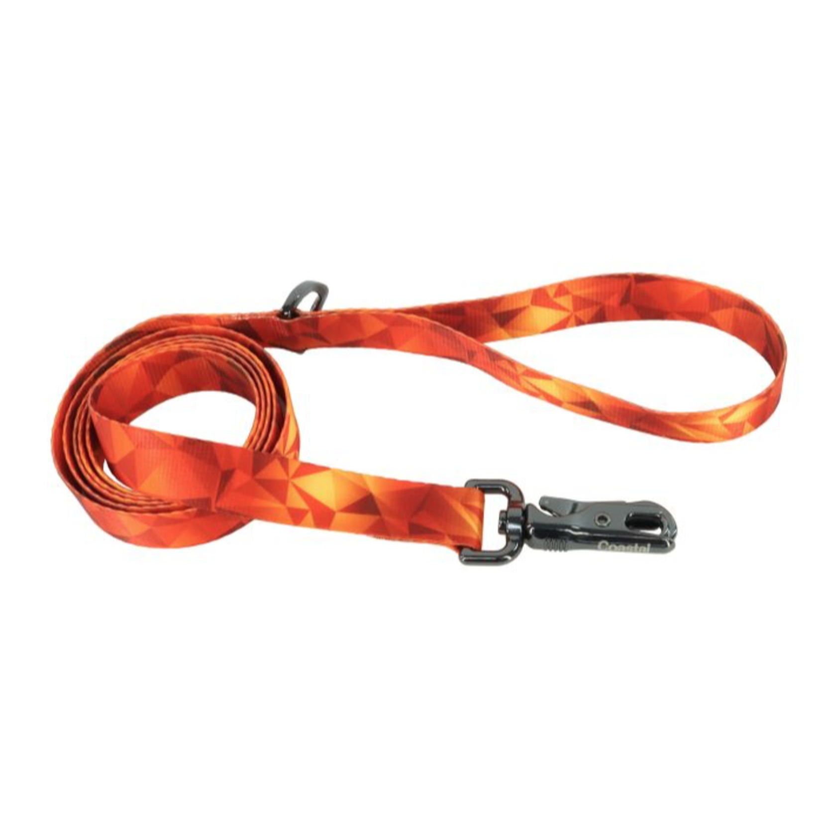 COASTAL Inspire Fashion Dog Leash, Blazing Shards, Small/Medium - 5/8" x 6'