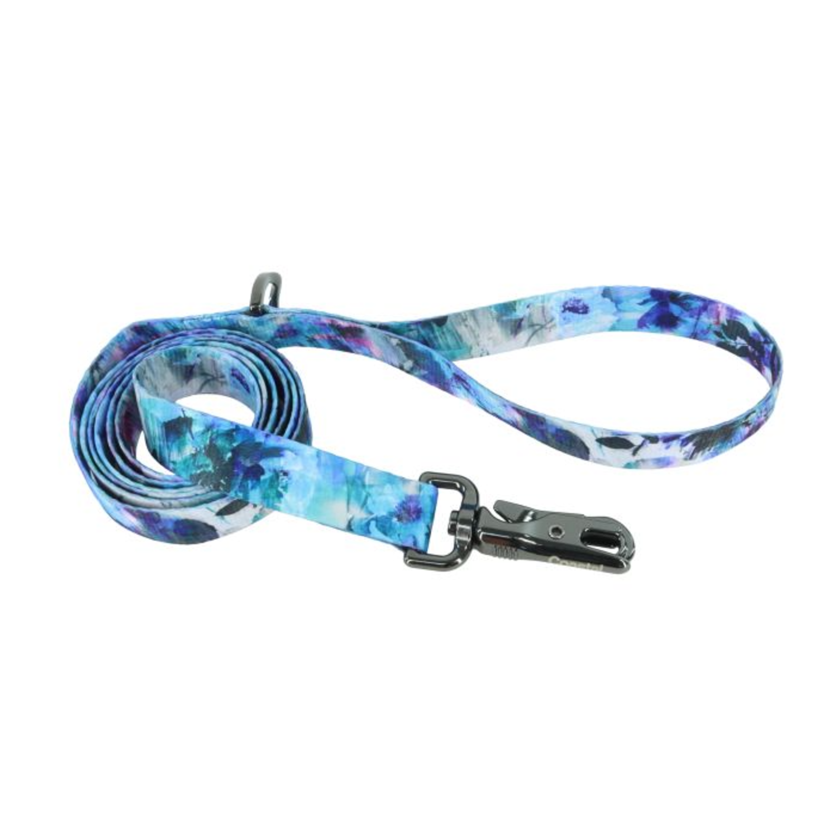 COASTAL Inspire Fashion Dog Leash, Rainy Day Floral, Small/Medium - 5/8" x 6'