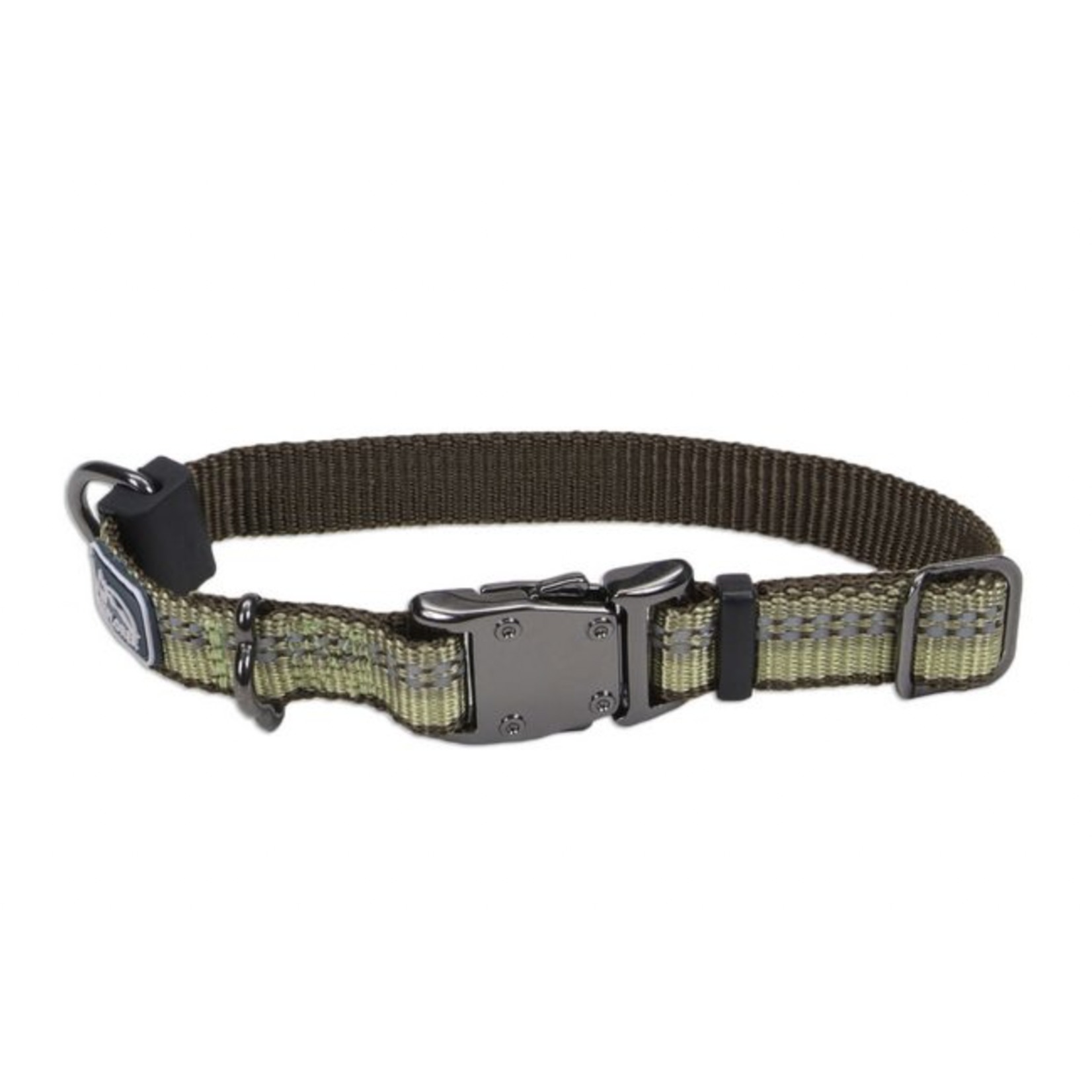 COASTAL K9 Explorer Reflective Adjustable Collar Fern Dog 1pc 5/8x8-12in