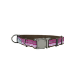 COASTAL K9 Explorer Reflective Adjustable Collar Orchid Dog 1pc 1x12-18in