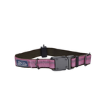 COASTAL K9 Explorer Reflective Adjustable Collar Rosebud Dog 1pc 1x12-18in