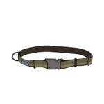 COASTAL K9 Explorer Reflective Adjustable Collar Fern Dog 1pc 1x18-26in