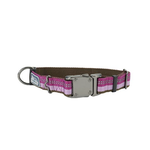 COASTAL K9 Explorer Reflective Adjustable Collar Orchid Dog 1pc 1x18-26in