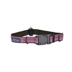 COASTAL K9 Explorer Reflective Adjustable Collar Rosebud Dog 1pc 1x18-26in