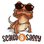 STICKER PACK Pets - Scaled & Sassy - Sticker - Large