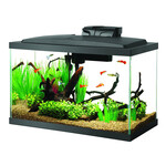AQUEON Aqueon LED Aquarium Kit - 10 gal