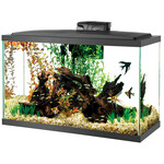 AQUEON Aqueon LED Aquarium Kit - 29 gal