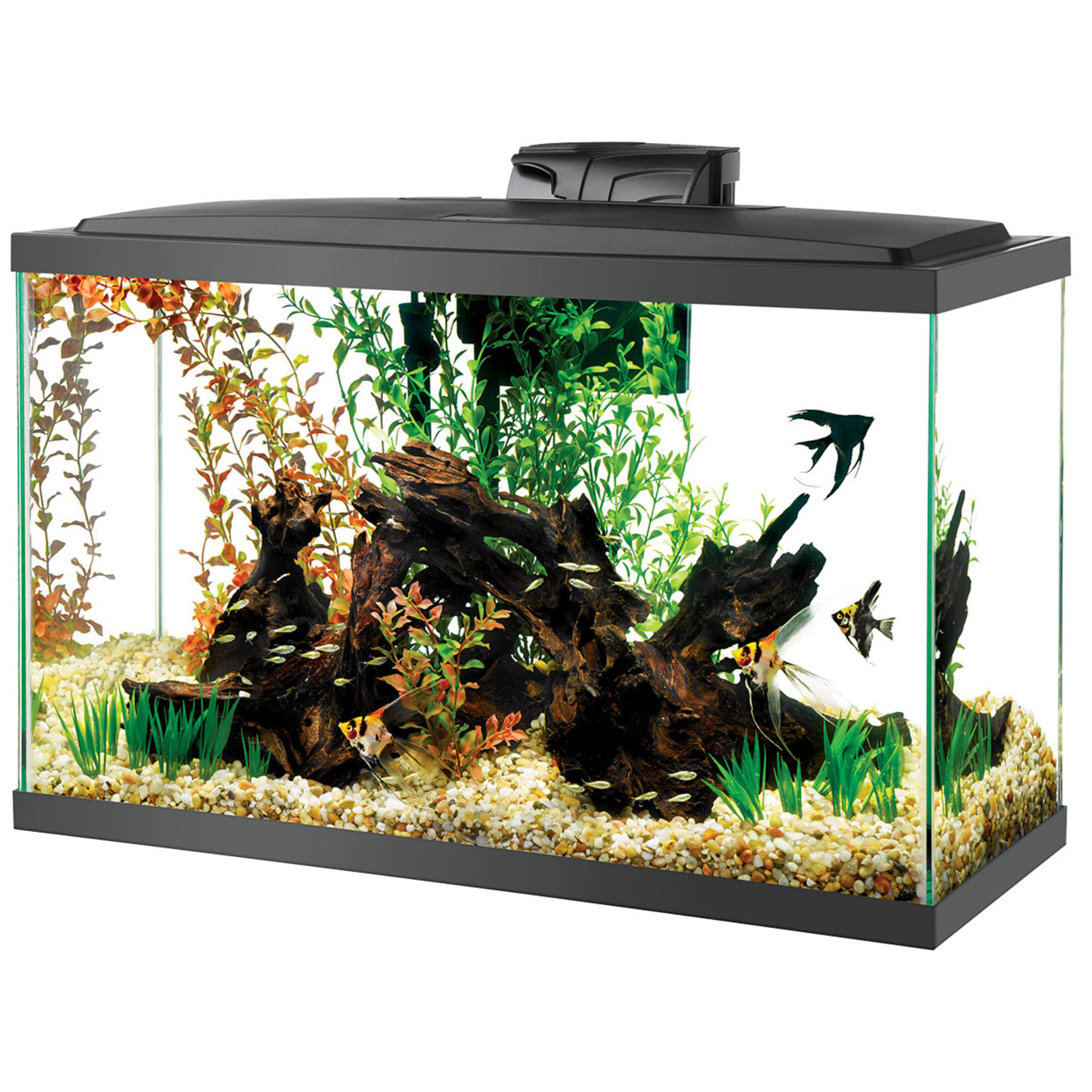 AQUEON Aqueon LED Aquarium Kit - 29 gal