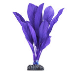 UNDERWATER TREASURES UT Anubias - Purple