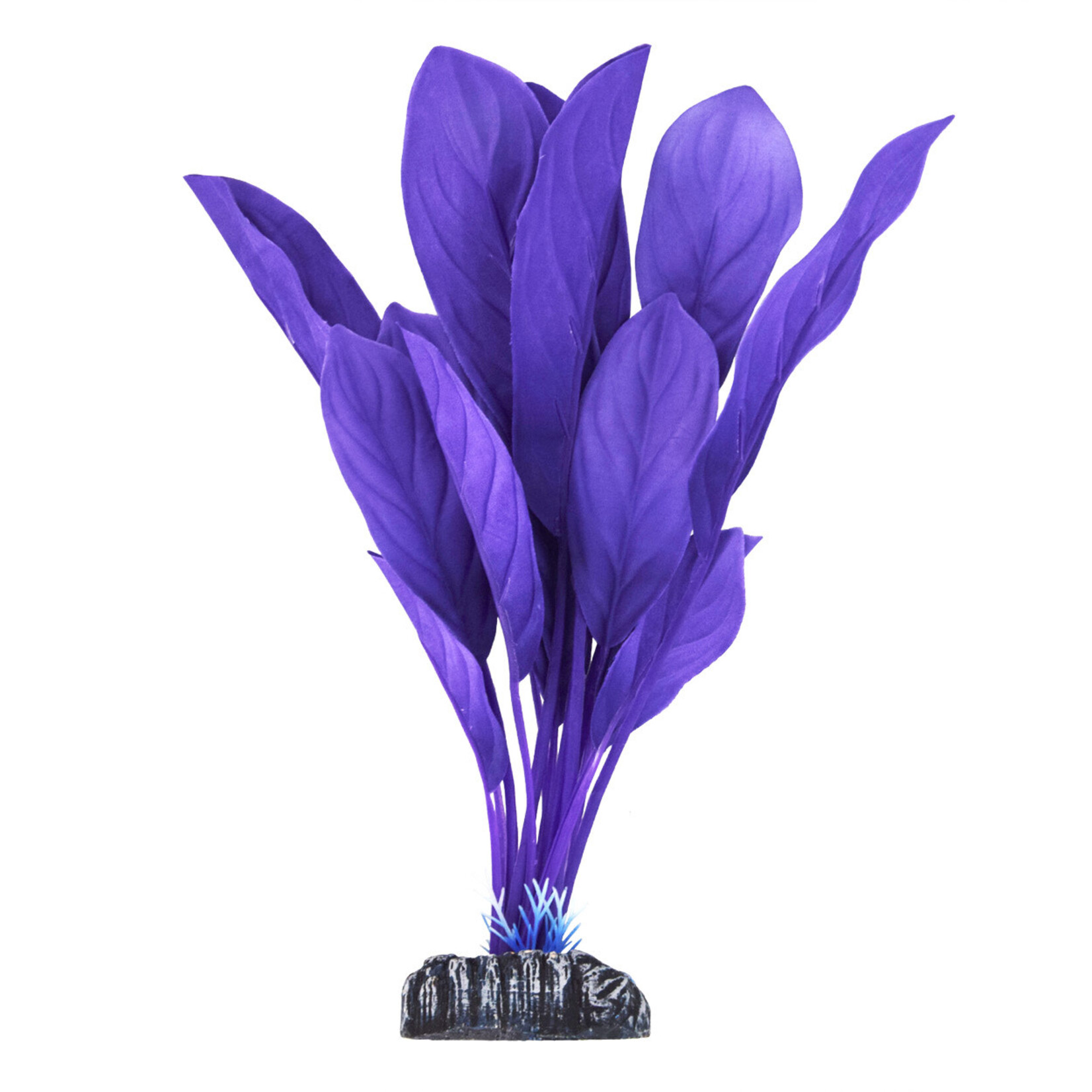 UNDERWATER TREASURES UT Anubias - Purple