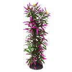 UNDERWATER TREASURES UT Hygro Araguais - 12"