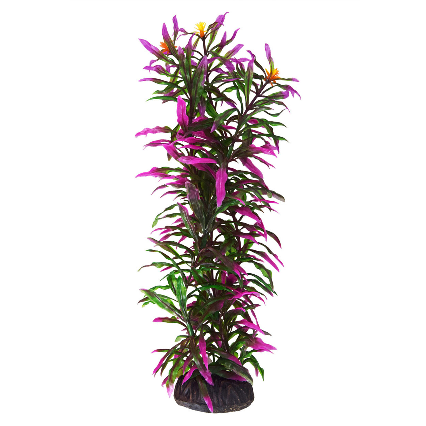 UNDERWATER TREASURES UT Hygro Araguais - 12"