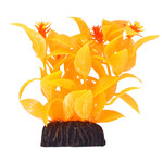 UNDERWATER TREASURES UT  Ludwigia - Orange - 3"