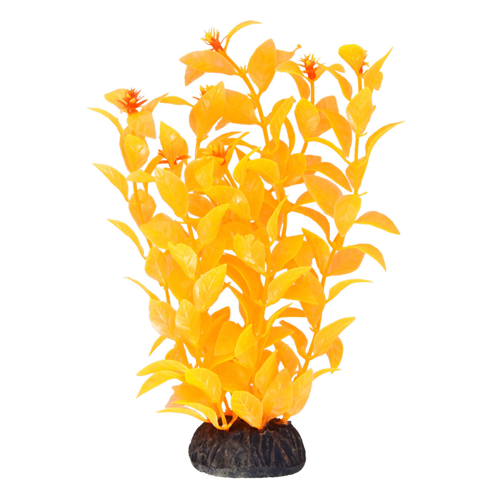 UNDERWATER TREASURES UT Ludwigia - Orange - 8"