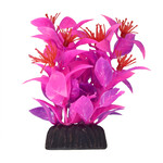 UNDERWATER TREASURES UT Ludwigia - Pink - 3"