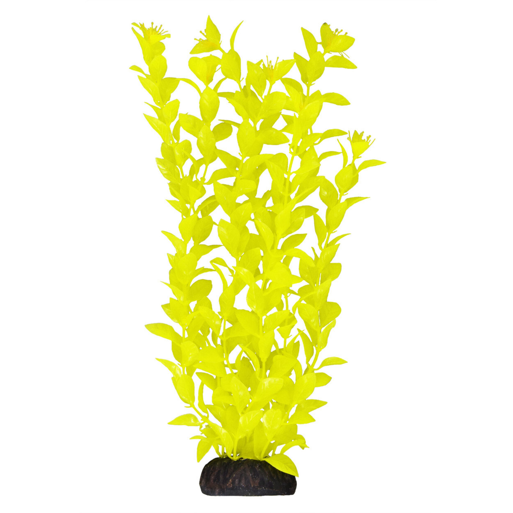 UNDERWATER TREASURES UT Ludwigia - Yellow - 12"