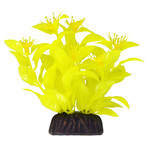 UNDERWATER TREASURES UT Ludwigia - Yellow - 3"