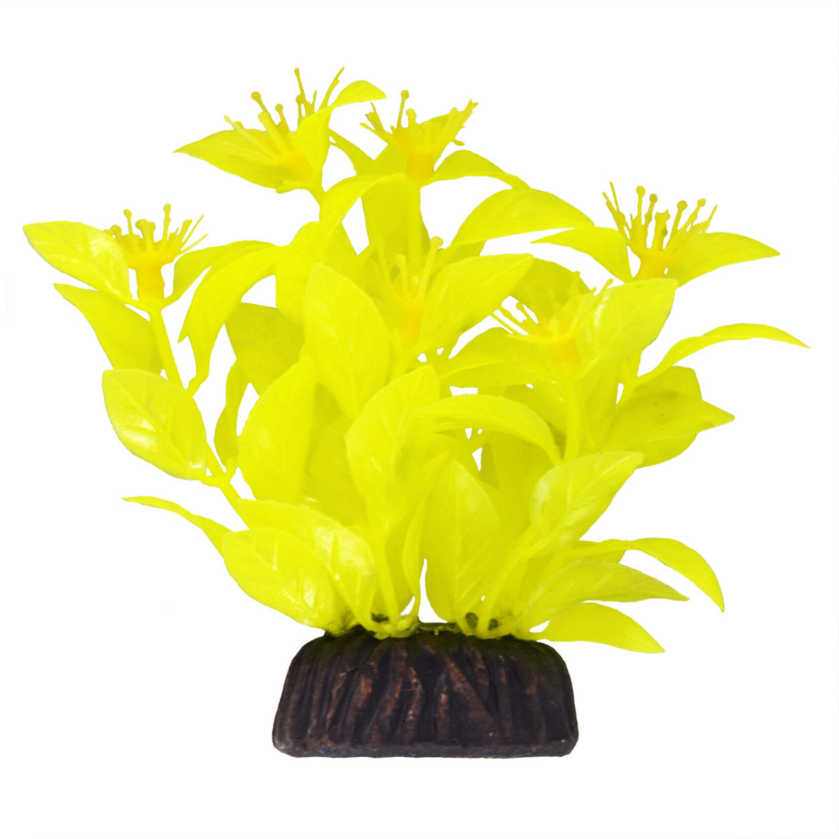 UNDERWATER TREASURES UT Ludwigia - Yellow - 3"