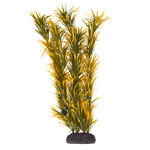 UNDERWATER TREASURES UT Mayaca - Orange