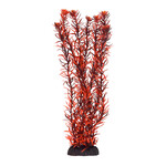 UNDERWATER TREASURES UT Rotala Indica - 12"