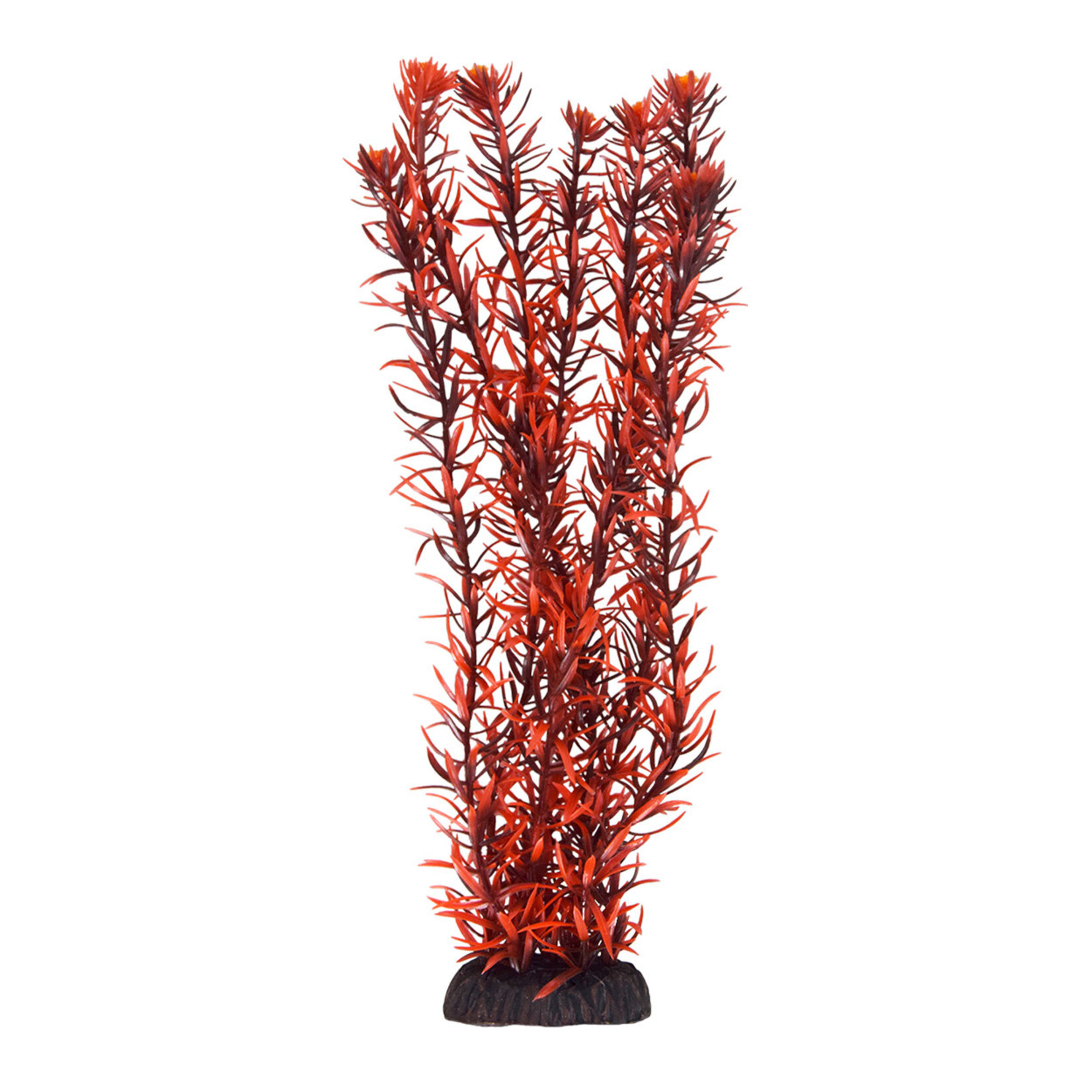 UNDERWATER TREASURES UT Rotala Indica - 12"