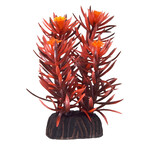 UNDERWATER TREASURES UT Rotala Indica - 3"