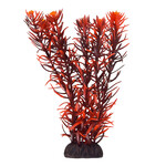 UNDERWATER TREASURES UT Rotala Indica - 8"