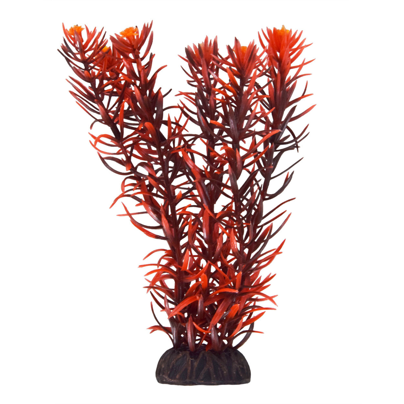 UNDERWATER TREASURES UT Rotala Indica - 8"