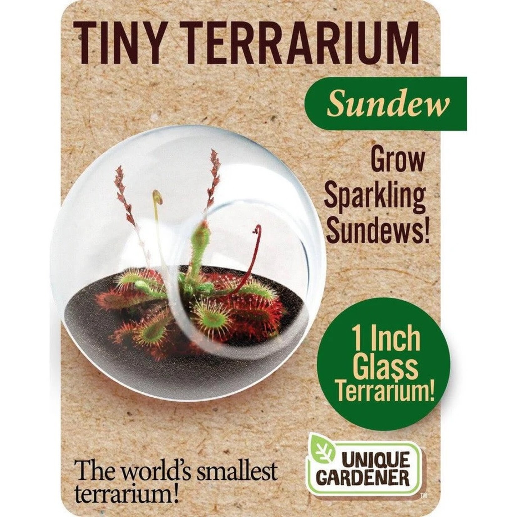 UNIQUE GARDENER Unique Gardener Tiny Terrarium  Sundew
