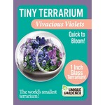 UNIQUE GARDENER Unique Gardener Tiny Terrarium Vivacious Violet