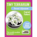 UNIQUE GARDENER Unique Gardener Tiny Terrarium Sweet Alyssum