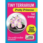 UNIQUE GARDENER Unique Gardener Tiny Terrarium Pretty Primrose