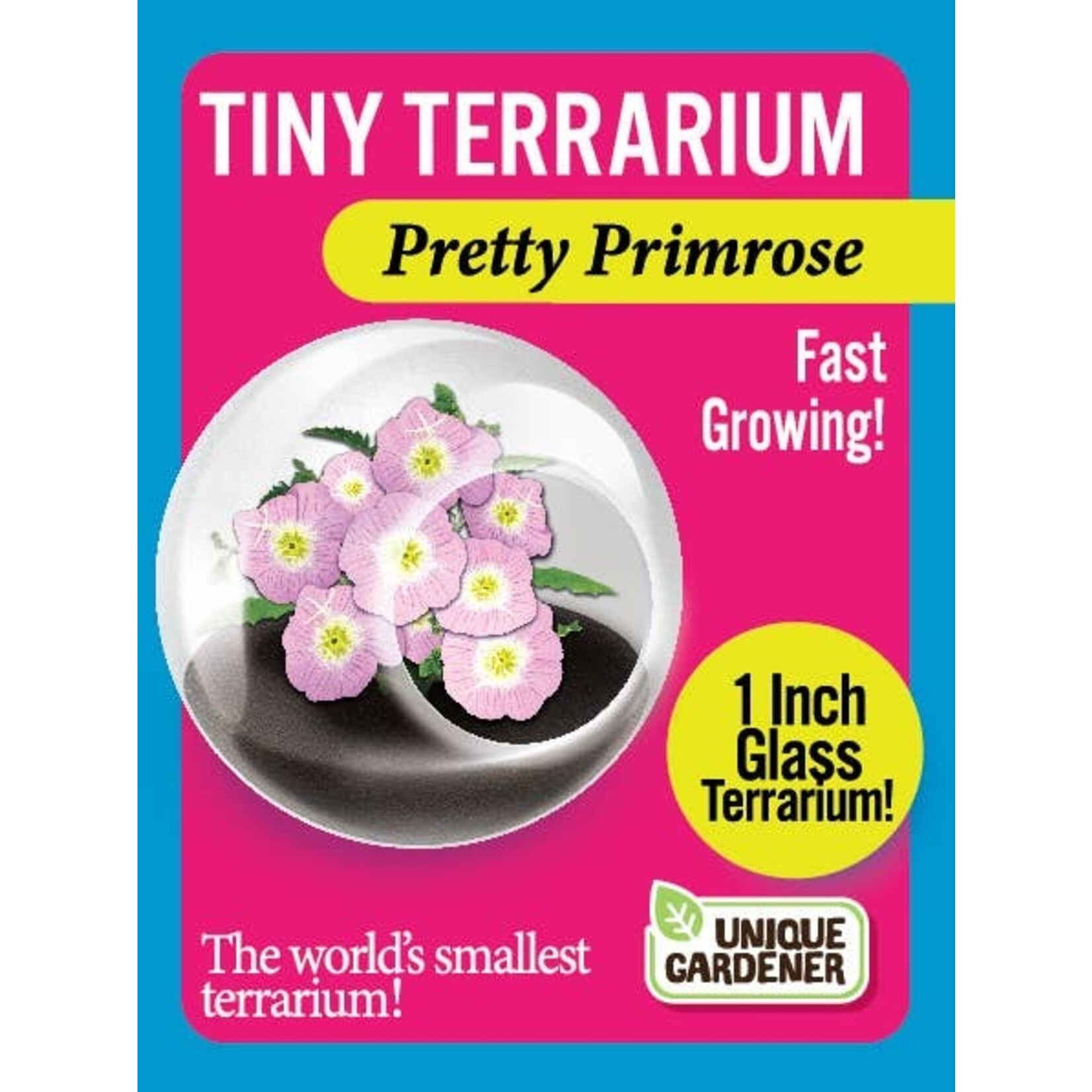 UNIQUE GARDENER Unique Gardener Tiny Terrarium Pretty Primrose
